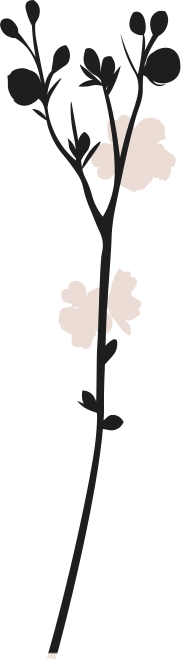 Agave